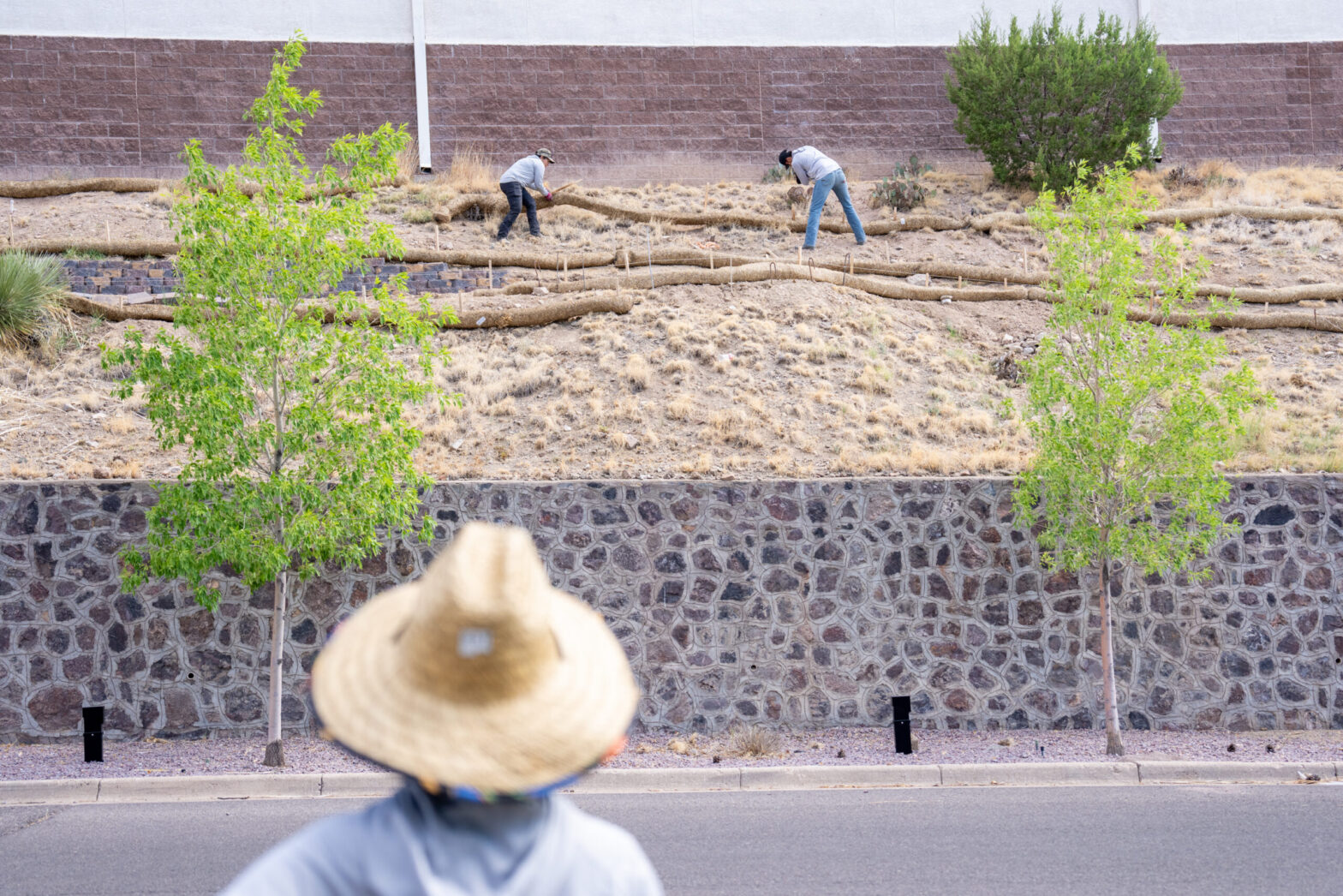 2025_06_23_BEAUTIFICATION_LOW_RES-=012 copy