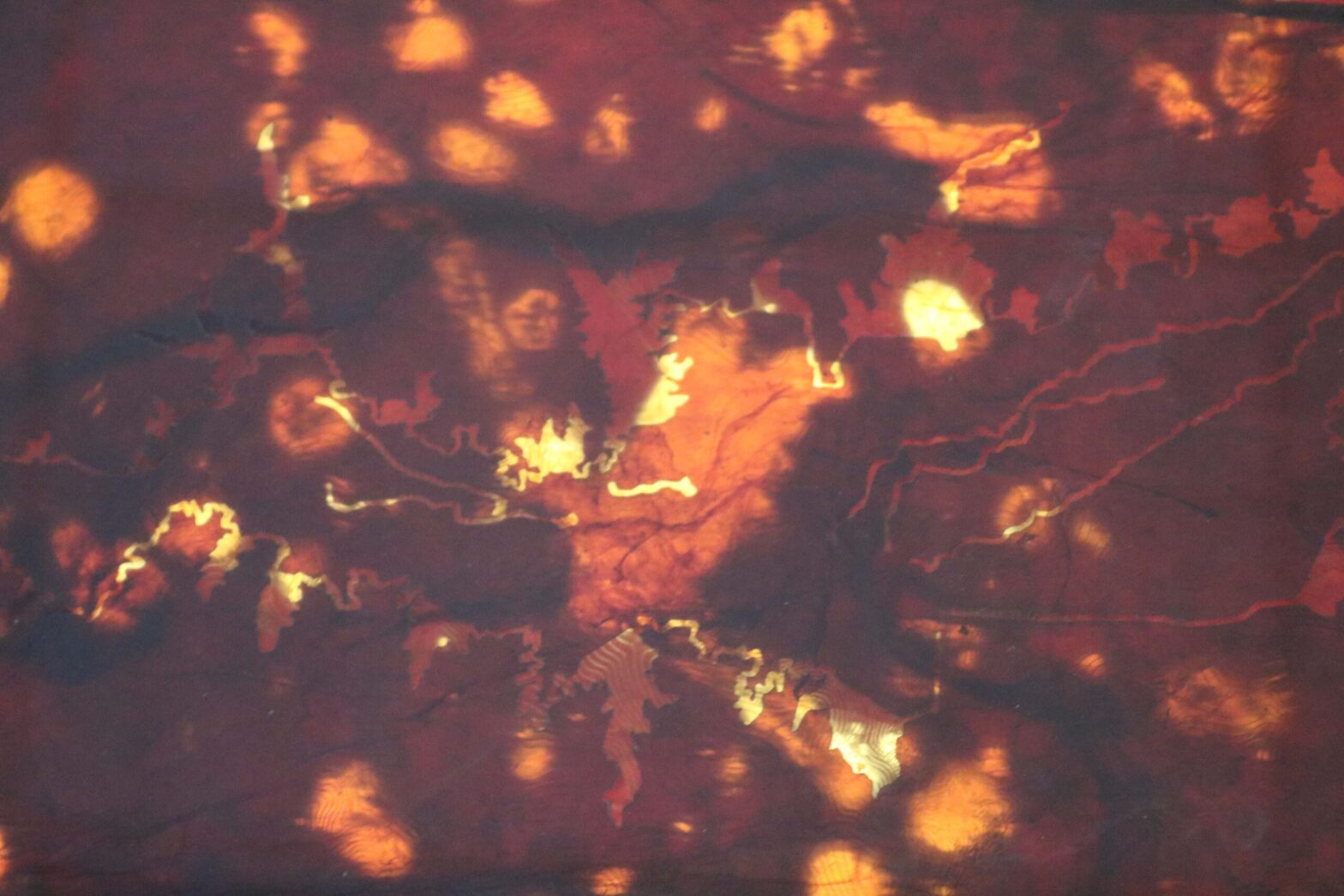 SCOBY_Claire_Blanchette