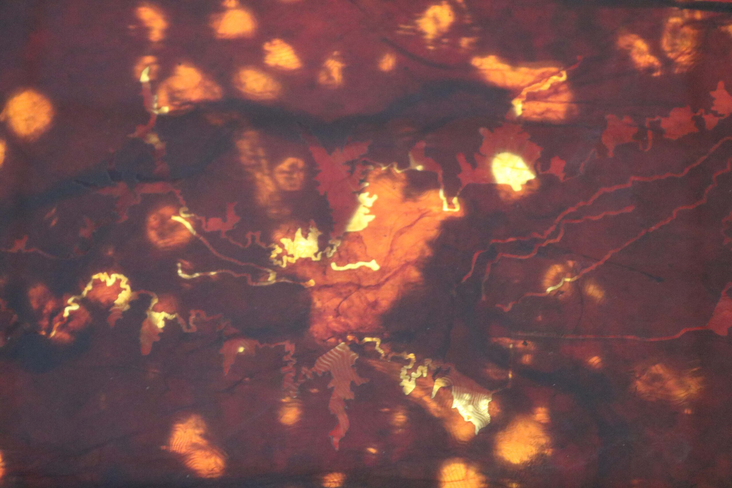 SCOBY_Claire_Blanchette