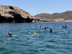 People snorkeling in blue water surrounded by rocks.