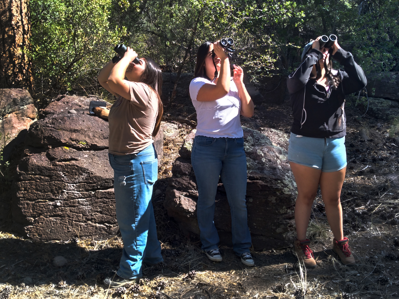 Three young women with binoculars looking for birds in the sky