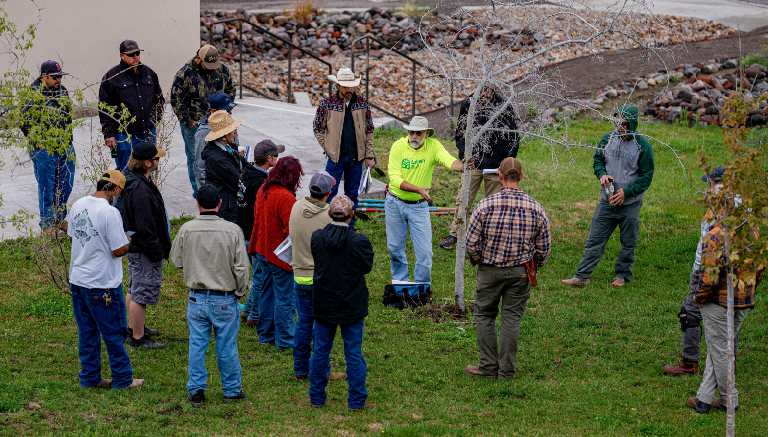 A group of people gathered around a dying tree, inspecting it.