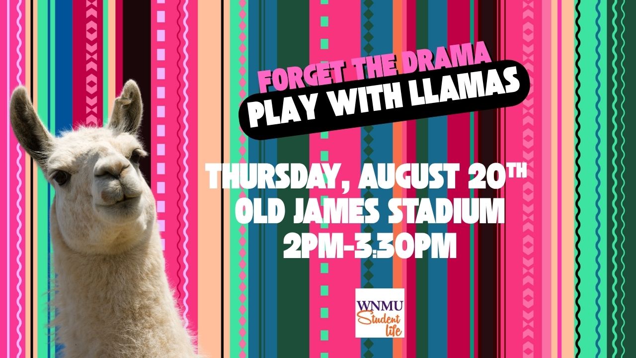 Play With Llamas